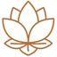 fleur de lotus